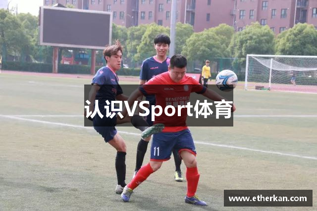 认识VSport体育